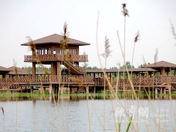 姜山湿地内的钓鱼场已经建好。