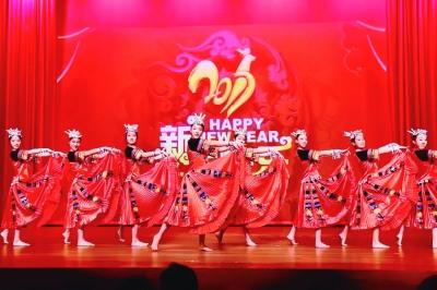 2017新加坡“欢乐春节”活动中，杭州艺术学校演出场景。(资料图)