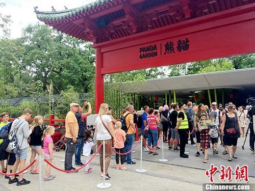 图为德国观众在排队等待进入大熊猫馆与熊猫亲近。