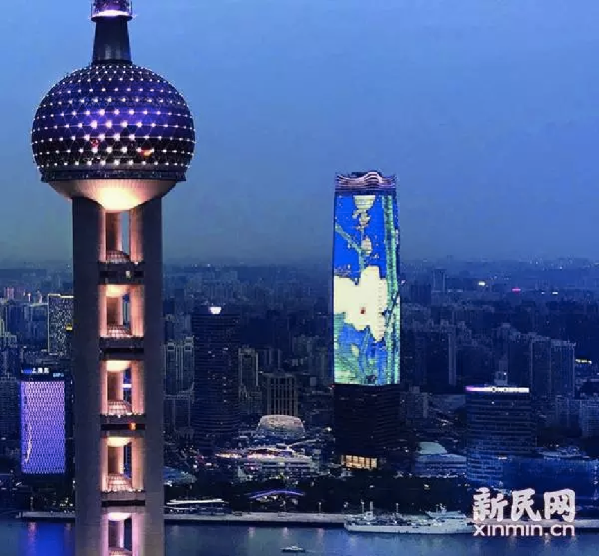 暮色中，白玉兰广场(右)外表的白玉兰灯光秀娇艳夺目。大川