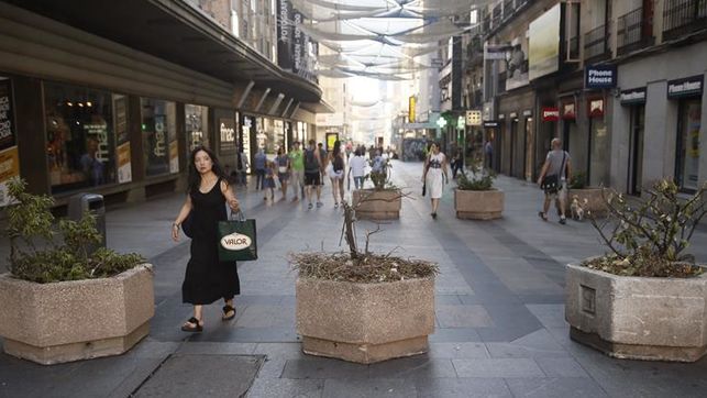 马德里步行街排放的花盆