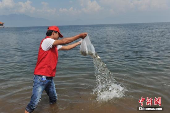 资料图：抚仙湖管理局集中销毁违规渔具，以保护抚仙湖生态环境。