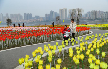 2019年2月16日，市民在四川省南充市高坪区新落成的湿地公园游玩。