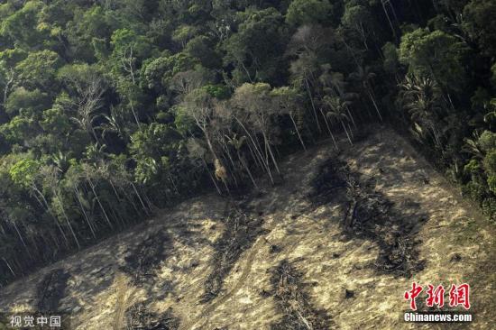 资料图:亚马孙热带雨林。