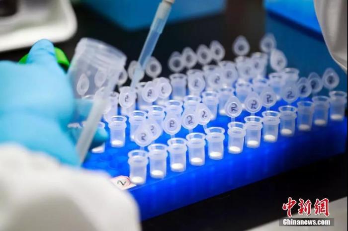 科研人员在演示新型冠状病毒mRNA疫苗研发实验过程。汤彦俊