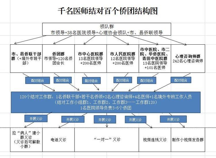 千名医师结对百个侨团结构图