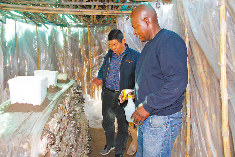 在莱索托首都马塞卢郊区，中国技术人员为蘑菇种植户讲解栽培技术。人民日报记者