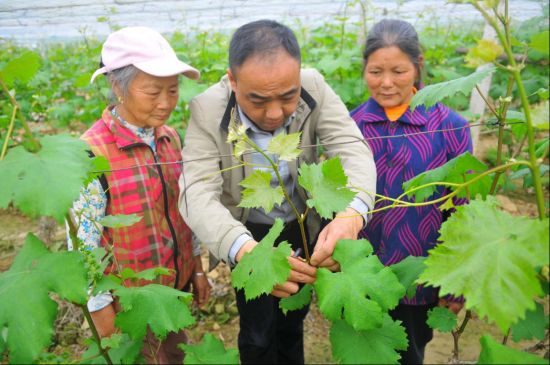 2020年4月10日，在江西省赣州市全南县大吉山镇马鞍村扶贫产业基地，当地贫困户正在接受农业技术人员的技术培训。