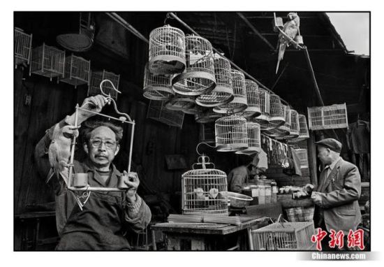 吴家林摄影作品“卖鸟人”。