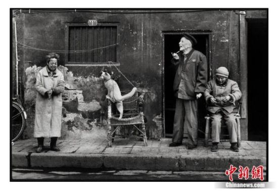 吴家林摄影作品“拉家常”