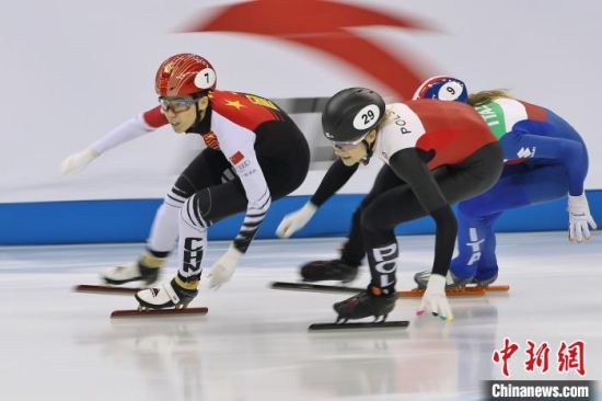 资料图：短道速滑比赛。张亨伟 摄