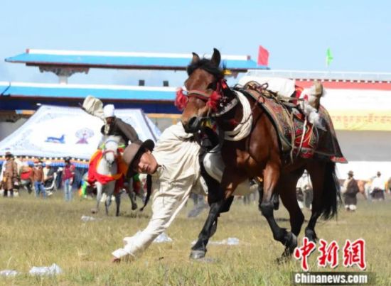 2016年8月，那曲牧民们上演骑马拣哈达竞赛。由羌塘草原牧民传统“赛马节”延伸而来的羌塘恰青格萨尔赛马艺术节在此间举行。中新社记者 陈韬彬 摄