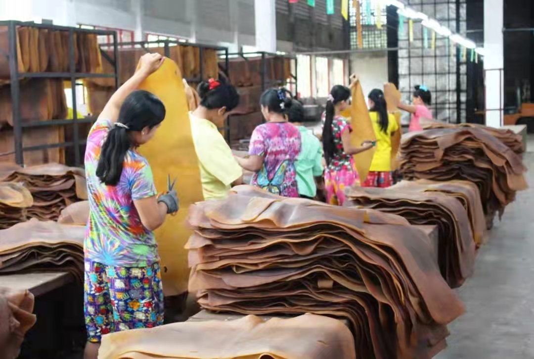 广东农垦橡胶集团旗下泰国工厂开展橡胶生产工作。