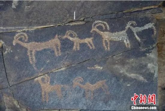 图为阴山岩画。中新社发 受访者供图 图为阴山岩画。中新社发 受访者供图