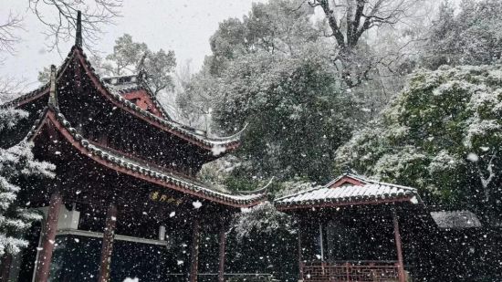 ▲虎跑雪景。来琳 摄