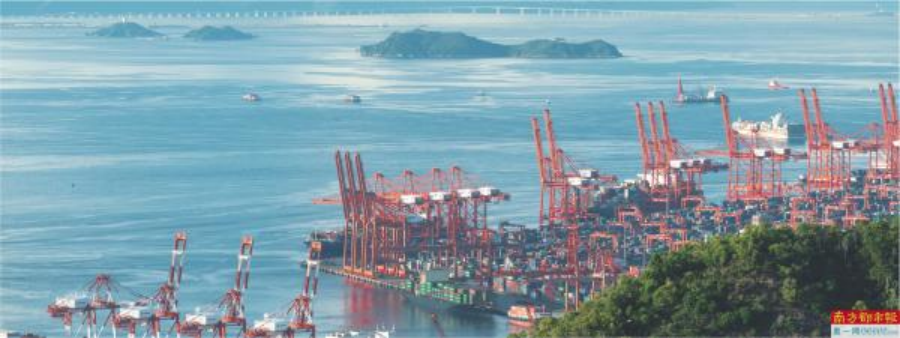 深圳市南山区蛇口港贸易繁忙。深圳是珠三角乃至全国产业发展的风向标。林建玲　摄