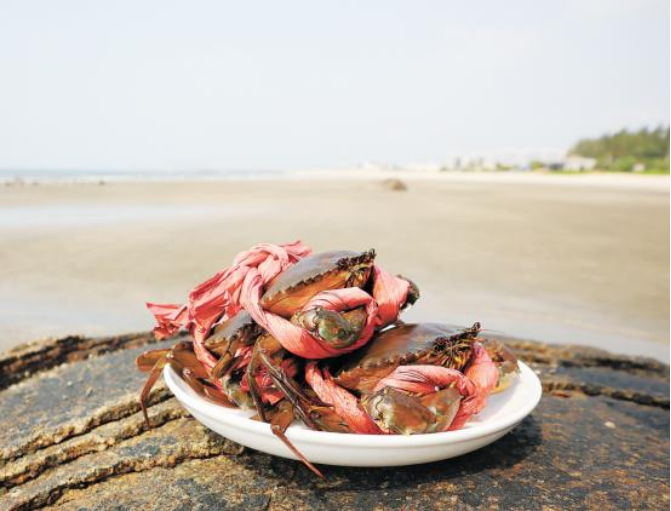王村港码头处于咸淡水交界处,盛产青蟹