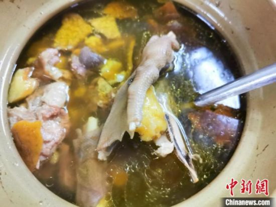 陈皮老鹅炖汤 李晓春 摄 陈皮老鹅炖汤 李晓春 摄