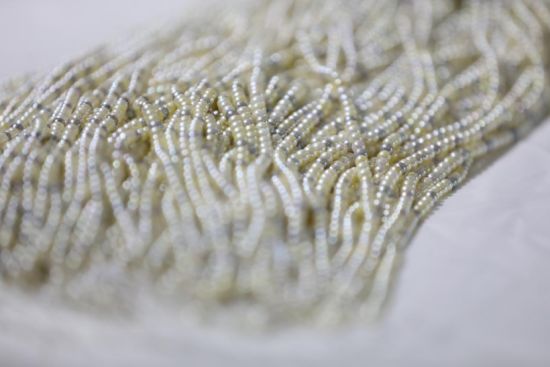 熠熠生辉的珍珠。何盈 摄