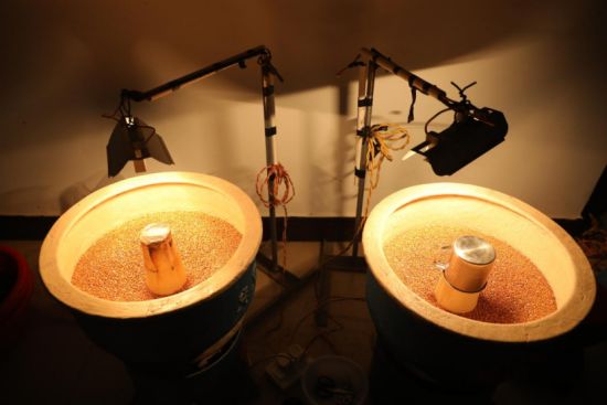 珍珠抛光。郭龙碧 摄