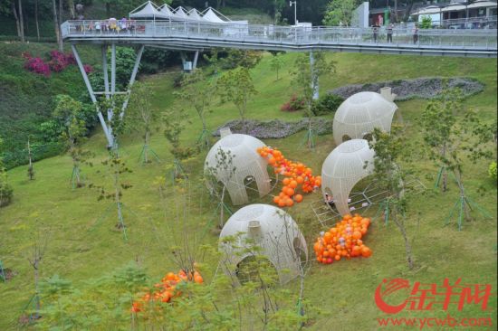 漫步园林,用脚步丈量城市美景,本届园博会首次在8公里云道上,打造了约4.5公里的“广州云道自然艺术季” 漫步园林,用脚步丈量城市美景,本届园博会首次在8公里云道上,打造了约4.5公里的“广州云道自然艺术季”