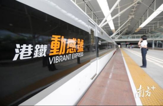 图为深圳北站停靠的广深港高铁。南方日报、南方+记者 鲁力 摄