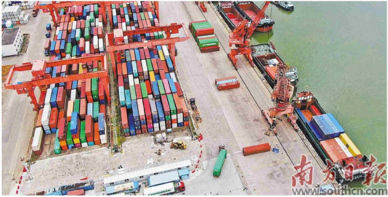 中山港国际货柜码头。南方日报记者