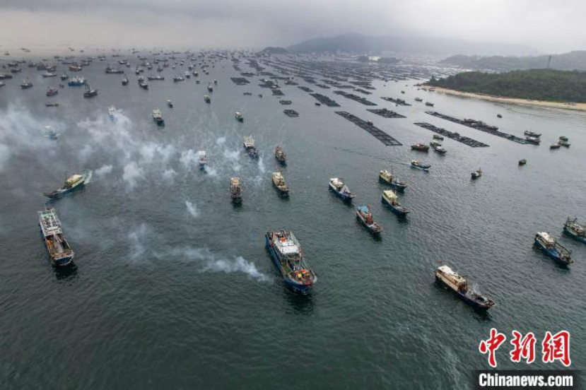 图为闸坡渔港千帆竞发。中新网记者