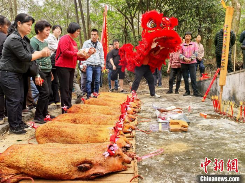 4月4日，广东省台山市，侨胞回乡与自家宗亲一起参加祭祖活动。李晓春