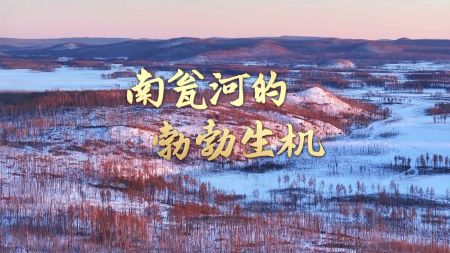 （黑龙江南瓮河国家级自然保护区）