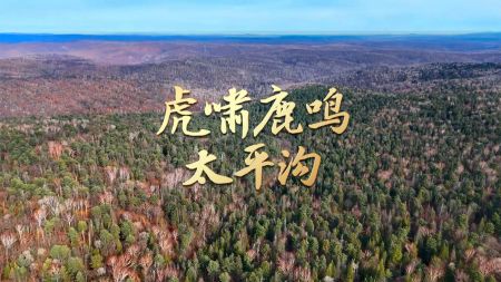 （黑龙江太平沟国家级自然保护区）