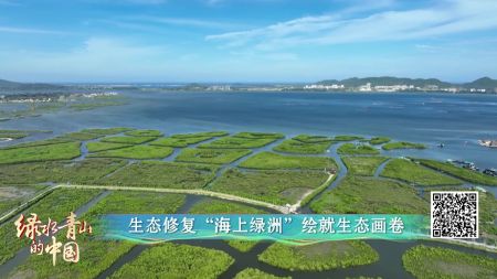 （海南 陵水）