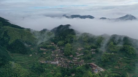 陈家铺村。 陈家铺村。