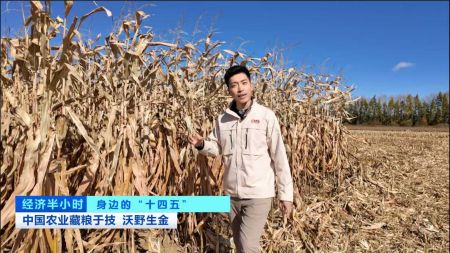 （探访玉米地成为“吨粮田”的秘密）