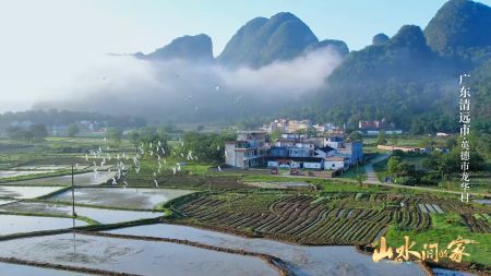 （广东清远市英德市龙华村）