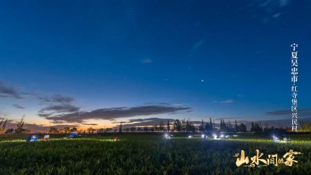 （宁夏吴忠市红寺堡区兴民村）