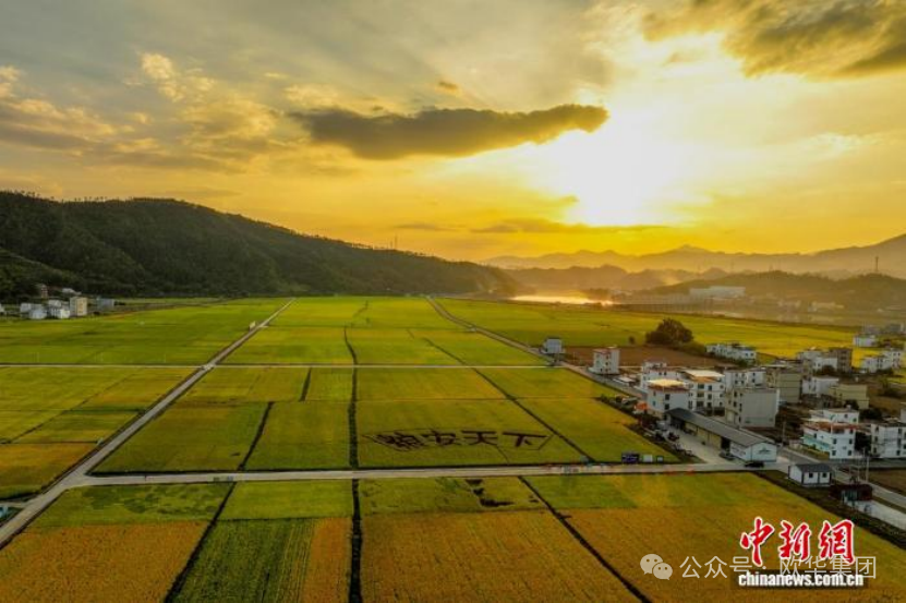 图为广东河源万绿智慧无人农场。(资料图)