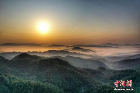 广州市增城林场。广东省林业局 供图