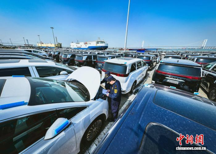 广州海关所属南沙海关关员对出口汽车进行监管。海关总署广东分署供图