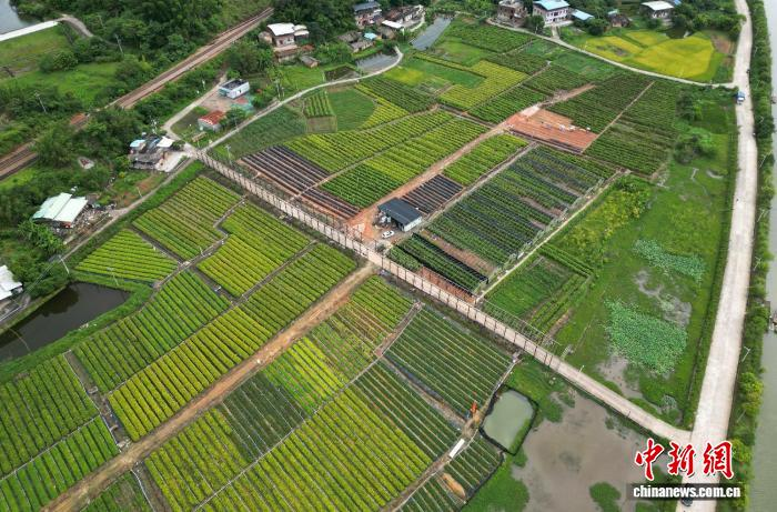 林木种苗基地。广东省林业局