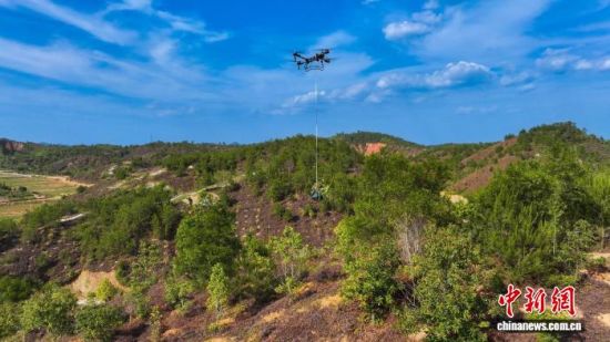 无人机运输苗木。广东省林业局