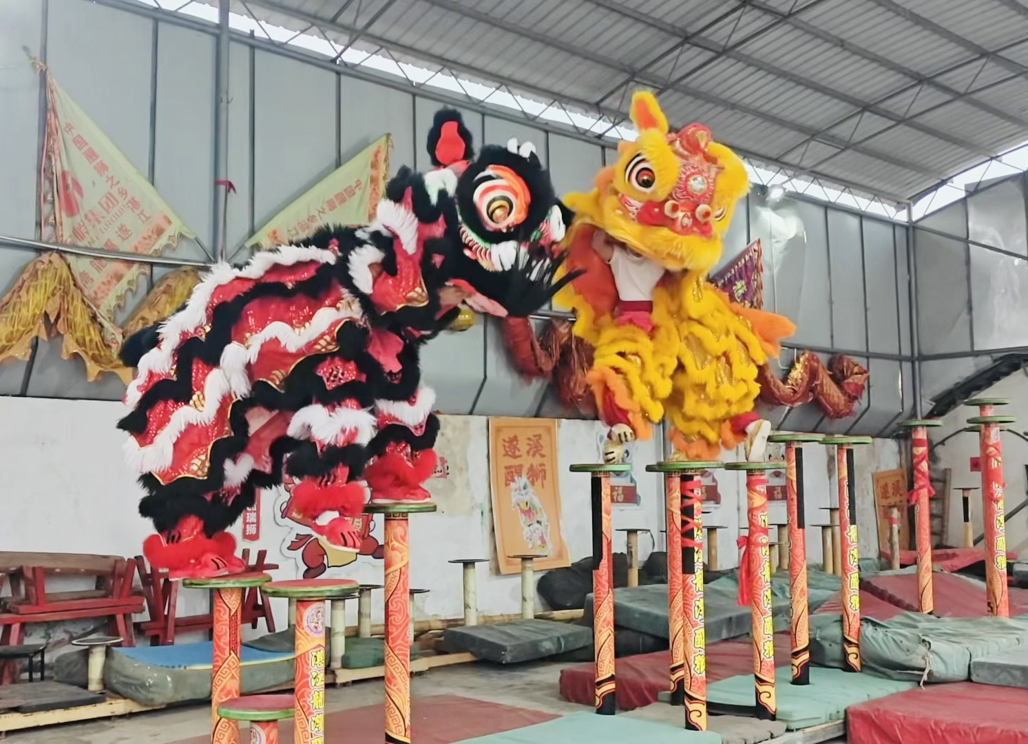 2月10日，广东湛江市遂溪醒狮保护传承基地的年轻人在进行舞狮练习。 李祖杰 摄