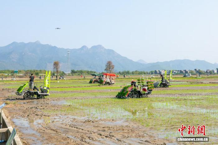 广东江门台山春耕现场。广东省农业农村厅