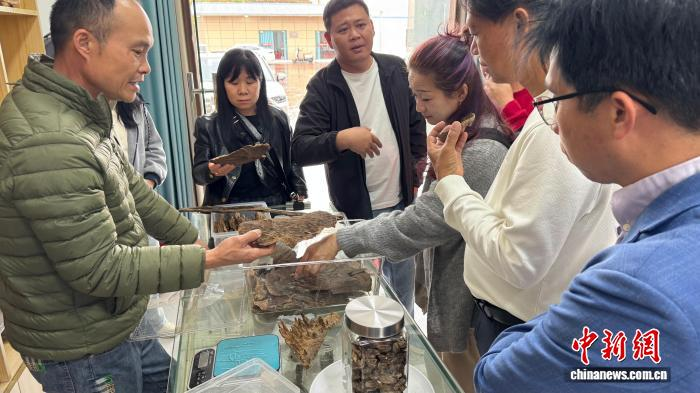 3月4日，广东茂名市电白区，游客在合利沉香全品类供应链中心了解沉香产品。王启腾