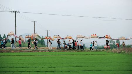 (端午游龙)