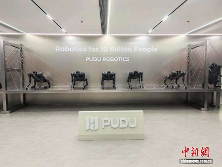 深圳市普渡科技股份有限公司展出的“机器狗”。许青青 摄