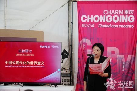 中国社会科学院马研院副院长于海青进行主旨分享。第1眼TV-华龙网记者 张雅萍 摄