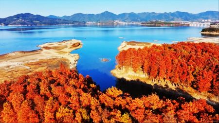 四明湖