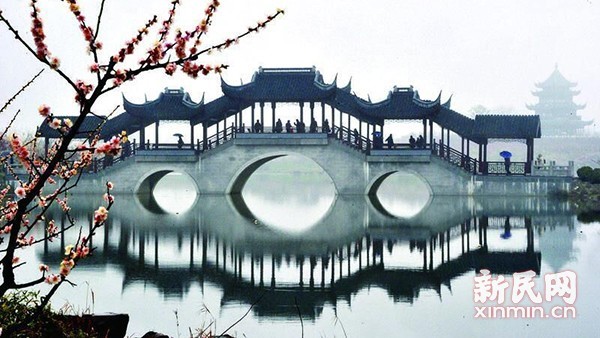 梅园雨雾缭绕,宛如一幅醉人的江南水墨画