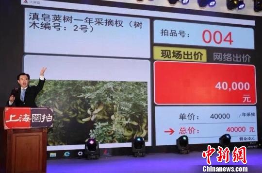 上海国拍国家注册拍卖师杨宏主持本场拍卖会。　供图　
